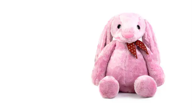 Photo of Pink rabbit doll with big ears isolated on white background. Cute stuffed animal and fluffy fur for kids.