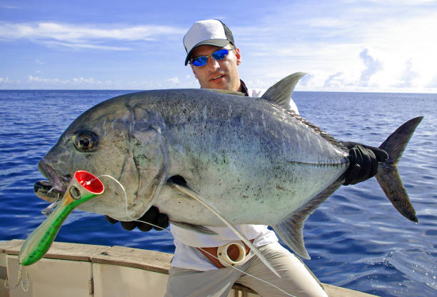 istock Deep sea fishing. Trevally jack 1157904350