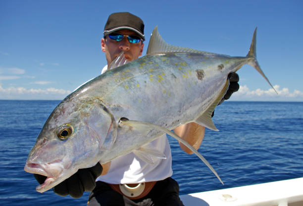istock Deep sea fishing. Trevally jack 1157904387