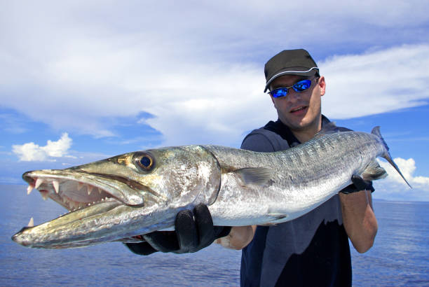 istock Deep sea fishing, barracuda 1157904391