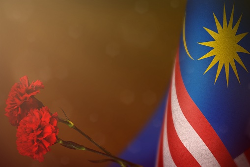 Malaysia flag with two red carnation flowers for honour of veterans or memorial day on orange dark velvet background mockup.  Malaysia glory to heroes of war concept.