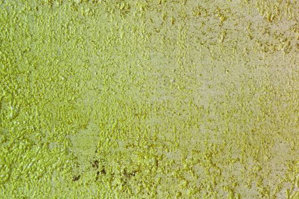 istock creative grunge limestone like stucco texture for use as background. 1157905035
