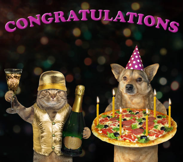 istock Dog and a cat with a holiday pizza 2 1157906219