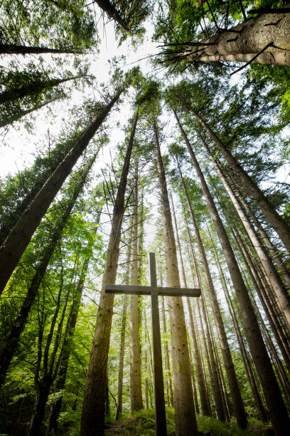 istock A christian holy cross located among high trees. 1157909970