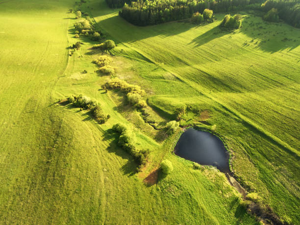 istock Hilly field planted with cultivated plants for the farm. 1157910566