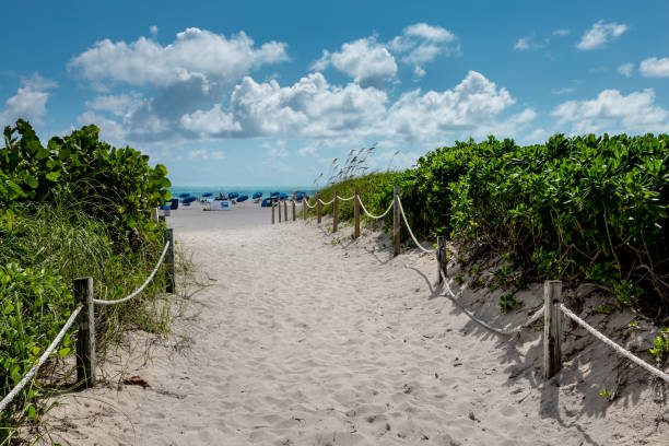 istock Beach Access Miami South Beach Ocean Drive 1157910754