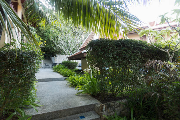 istock palm leaves in the park 1157912072