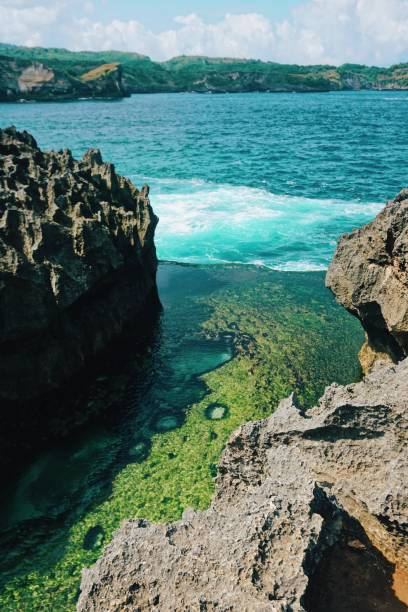 istock Bali Nature and Market, May 2019. 1157912339