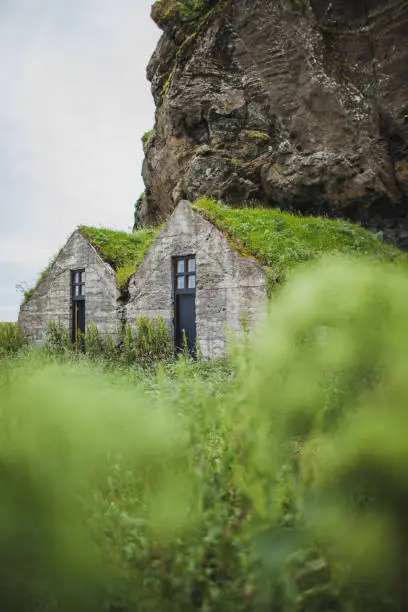 Photo of Two traditional iceland stone houses under rocky mountain with stone walls, roof covered with moss or grass. Green background.
