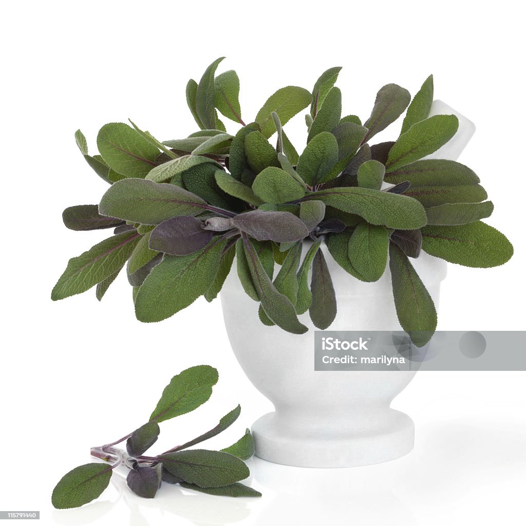 Sage Herb Leaves Sage herb leaf sprigs in a marble mortar with pestle and scatterd, isolated over white background. Salvia officinalis. Color Image Stock Photo