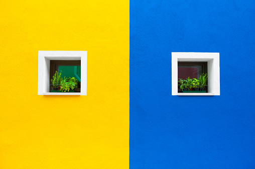 Windows with flowers on the yellow and blue wall. Colorful architecture in Burano island, Venice, Italy.