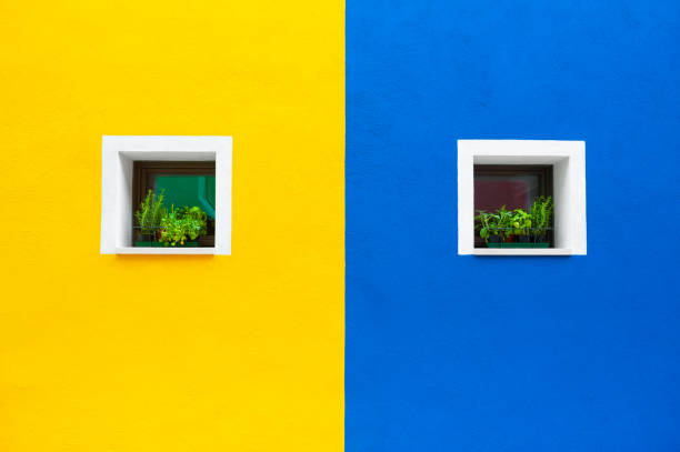 windows on the yellow and blue wall. - house residential structure multi colored burano imagens e fotografias de stock