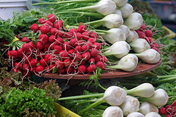 istock Raddish and Fennel bulbs 115791618