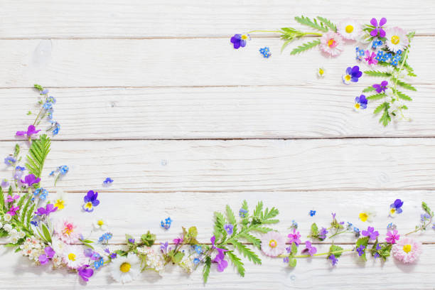 belles fleurs sur le fond en bois - decor yellow white blue photos et images de collection