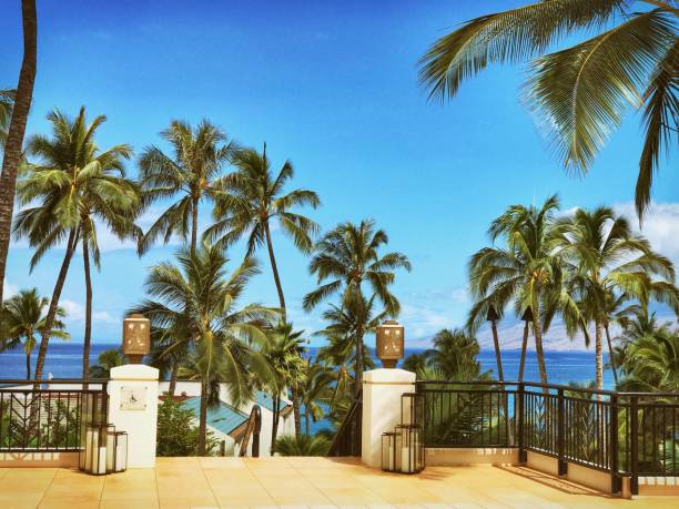 istock Beautiful place Hawaii Maui 1157922333