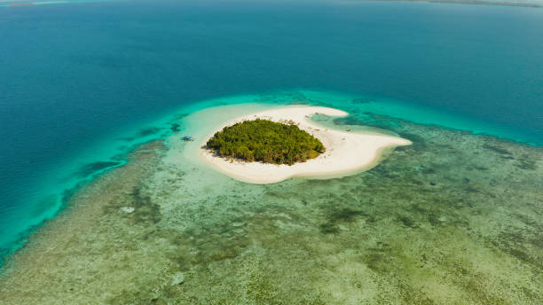 istock Tropical island with sandy beach. Balabac, Palawan, Philippines 1157922618