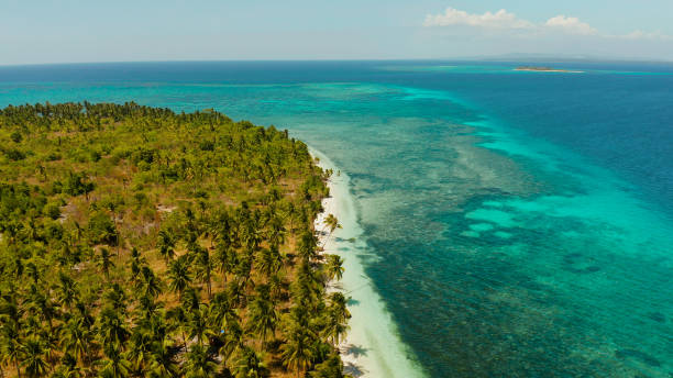 istock Tropical islands with sandy beaches. Balabac, Palawan, Philippines 1157923673
