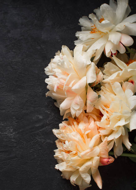 istock White and pink peonies frame on dark background 1157923820