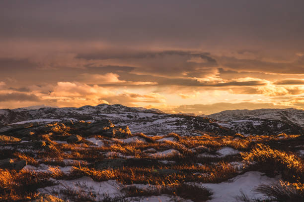 istock Norsk natur 1157926017