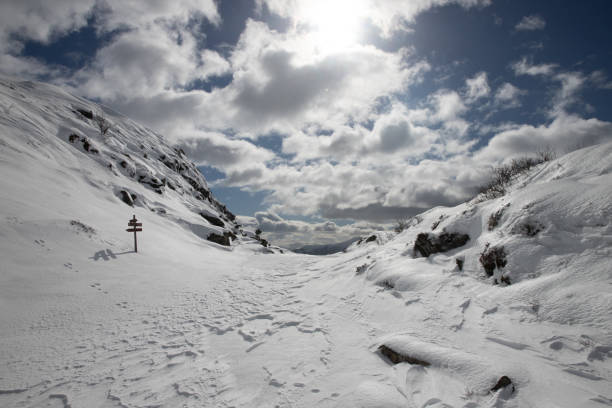 Snow Norway Winter stock photo