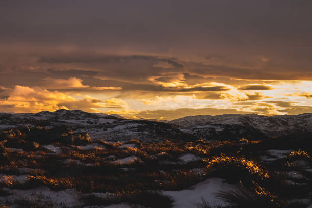 Norway nature stock photo