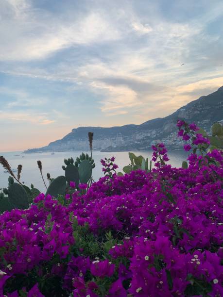 istock Panoramic view of montecarlo sea 1157926777