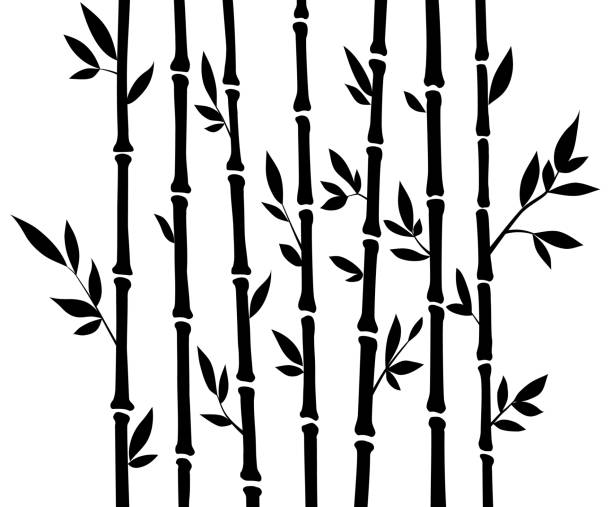 ilustrações, clipart, desenhos animados e ícones de jogo de bambu da floresta da silhueta. natureza japão, china. planta a árvore preta com folhas. floresta húmida em ásia - flower china frame chinese culture
