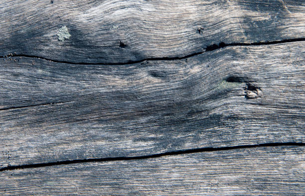 foto de madeira de prata do close up da textura. madeira cinzenta com rachaduras resistido. fundo natural para o projeto do vintage. - driftwood wood weathered plank - fotografias e filmes do acervo