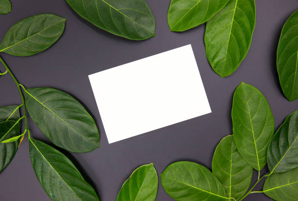 istock Green leaf frame and white card on black background. Summer postcard mockup. Summer foliage wreath flat lay. 1157935089