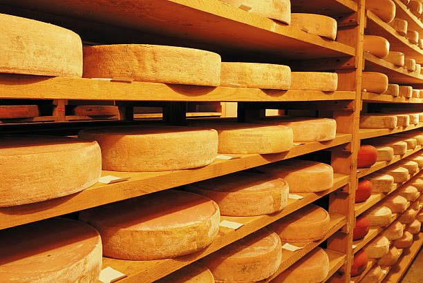 istock Vacherin cheese fribourgeois 115793526
