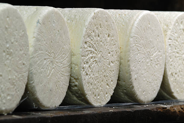 roquefort cheese roquefort cheese in refining in a cellard roquefort cheese stock pictures, royalty-free photos & images