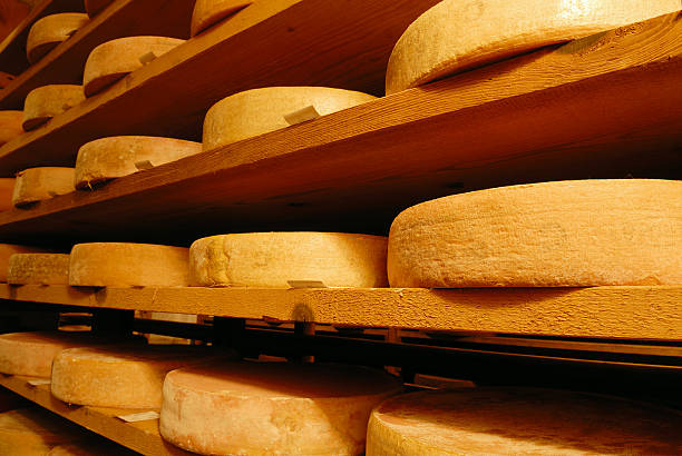 istock Vacherin cheese fribourgeois 115793640