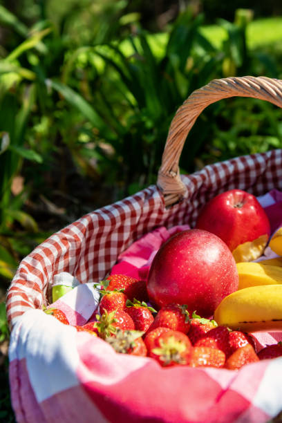 Organic fruits in picnic basket