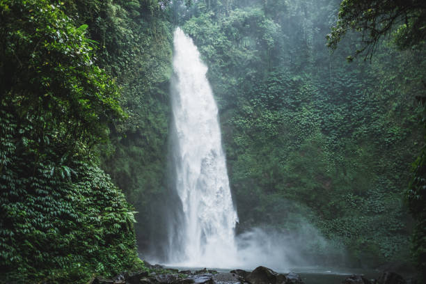 istock Powerful Nung-Nung Bali waterfall in rainforest. 1157942081