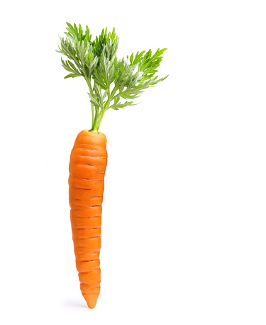 Zanahoria aislada sobre blanco photo