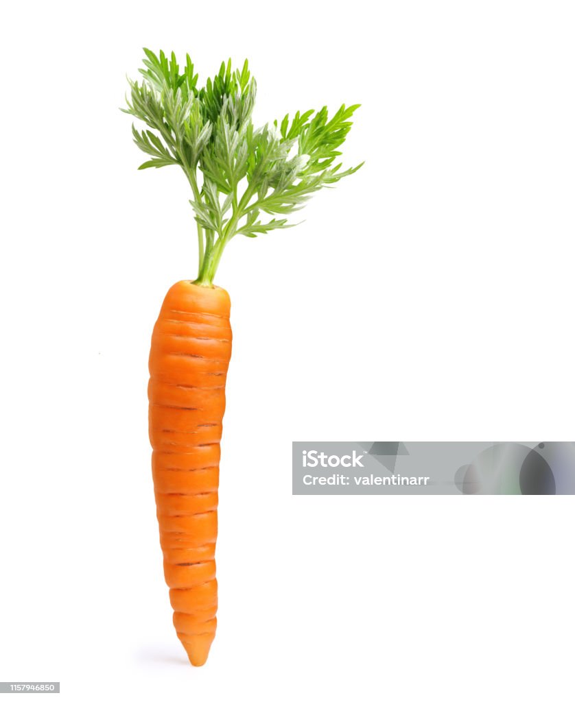 Cà Rốt Cô Lập Trên Màu Trắng Hình ảnh Sẵn có - Tải xuống Hình ảnh ...
