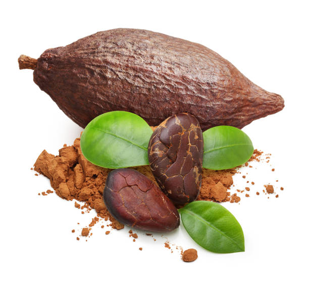 istock Cacao beans and powder isolated 1157946865