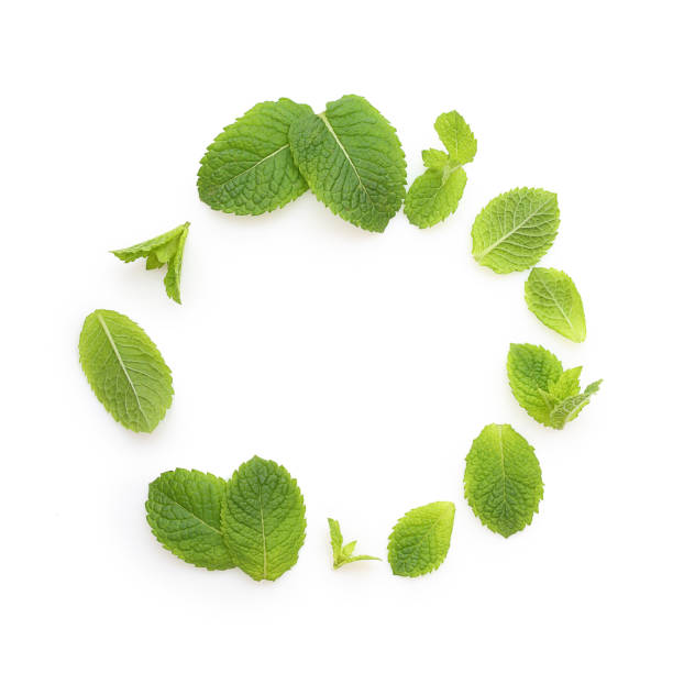 istock Green mint leaves isolated 1157946903