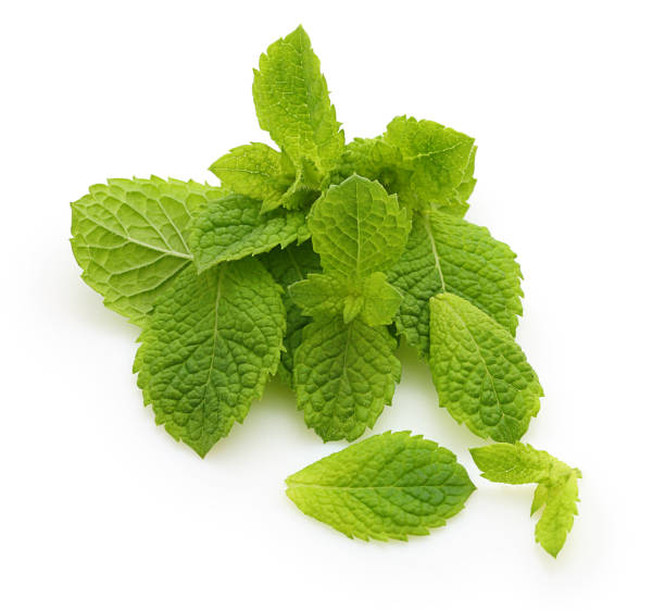 istock Green mint leaves isolated 1157946919