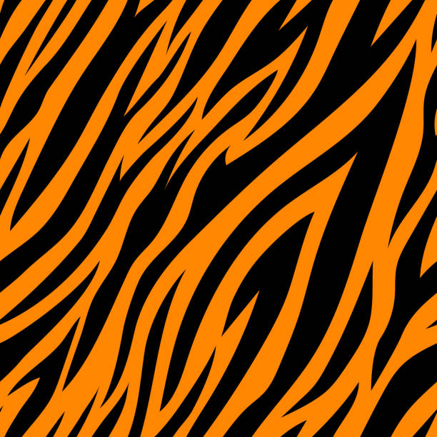 타이거 스트라이프와 원활한 패턴. - tiger stock illustrations