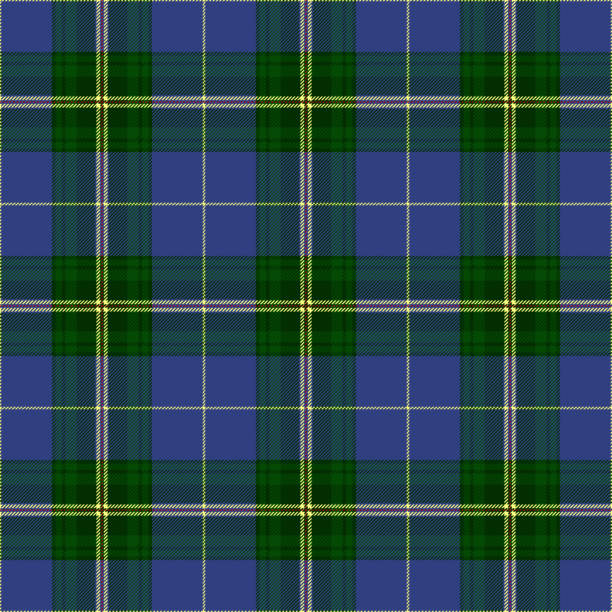 illustrations, cliparts, dessins animés et icônes de plaid tartan de la nouvelle-écosse. tartan régional du canada. - tablecloth checked yellow textile