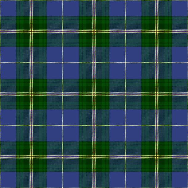 nowa szkocja tartan plaid. regionalny tartan kanady. - striped textile tablecloth pattern stock illustrations
