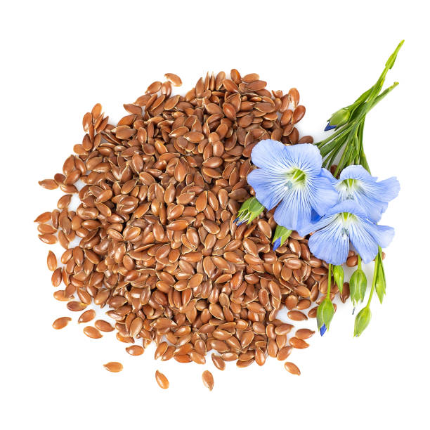 istock top view of flax seeds and flowers 1157949113