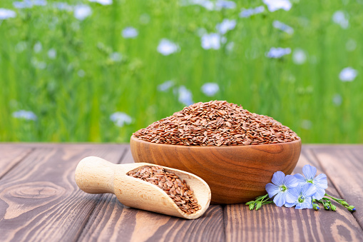 flax seeds in bowl and scoop on wooden table with blooming field as background