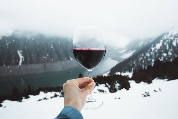 donna che beve vino dal bicchiere con vista sul lago di montagna e sulle alpi - snow glasses foto e immagini stock