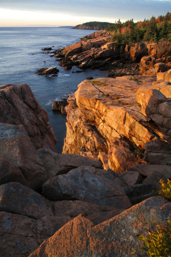 The Rugged And Shattered Seacoast At Sunrise, Acadia National Park, Maine, USA