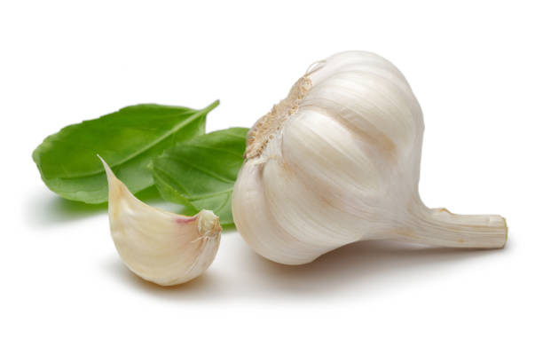 istock Garlic bulb with garlic clove and basil leaf isolated 1157952180