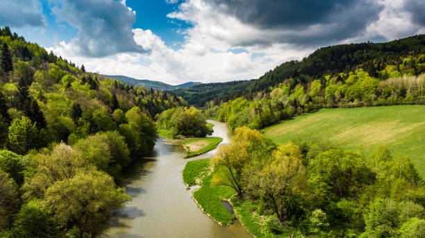 istock Relaxing and serene view over Poprad river in Polish mointains 1157952356
