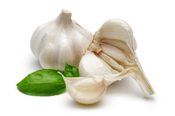 istock Garlic bulb with garlic clove and basil leaf isolated 1157952441