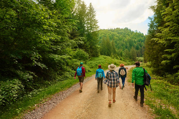 vamos desfrutar de caminhadas pela natureza - carpathian mountain range - fotografias e filmes do acervo